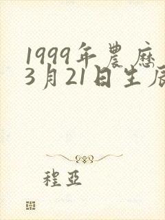 1999年农历3月21日生辰八字封面