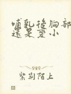 哺乳后胸部变大还是变小