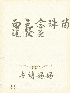 白色念珠菌的阴道发炎