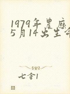 1979年农历5月14出生命运