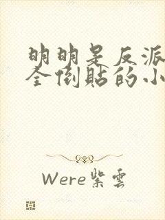 明明是反派女主全倒贴的小说封面