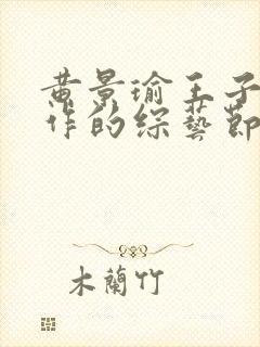 黄景瑜王子奇合作的综艺节目