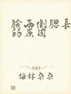 脸两侧腮长痘痘的原因