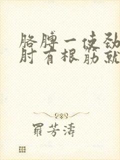 胳膊一使劲胳膊肘有根筋就疼封面