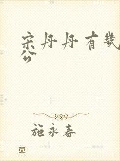 宋丹丹有几任老公