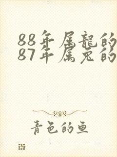 88年属龙的和87年属兔的婚姻