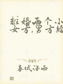 离婚两个小孩归女方,男方给多少抚养费