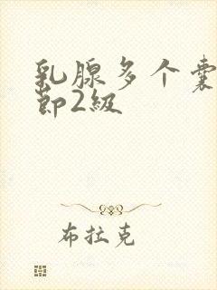 乳腺多个囊性结节2级