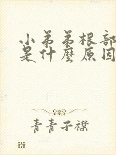 小弟弟根部发痒是什么原因