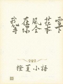 我在风花雪月里等你全本下载txt封面