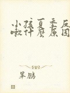 小孩夏季反复咳嗽什么原因封面