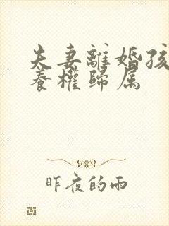 夫妻离婚孩子抚养权归属