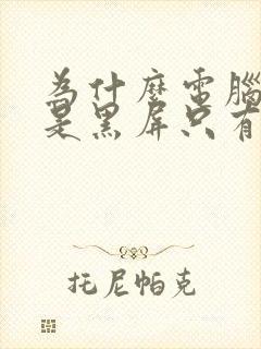 为什么电脑打开是黑屏只有鼠标