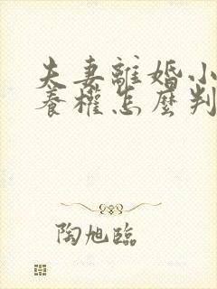 夫妻离婚小孩抚养权怎么判抚养费怎么出