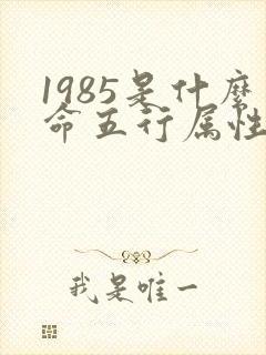 1985是什么命五行属性封面