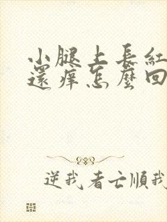 小腿上长红疙瘩还痒怎么回事