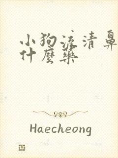 小狗流清鼻涕吃什么药