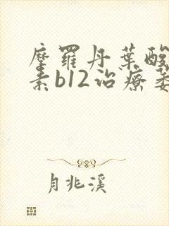 摩罗丹叶酸维生素b12治疗萎缩性胃炎