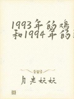 1993年的鸡和1994年的狗能婚配吗