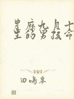 农历九月十九出生的男孩命运好不好