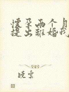 怀孕两个月老公提出离婚我该怎么办