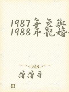 1987年兔与1988年龙婚姻是否相配