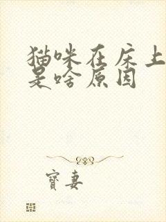 猫咪在床上拉尿是啥原因