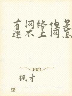 有网络但是电脑连不上网怎么