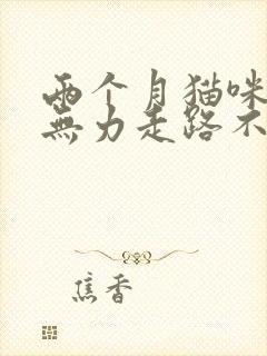 两个月猫咪后腿无力走路不稳