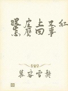 眼皮上又红又痒怎么回事