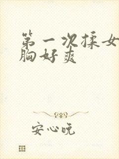 第一次揉女朋友胸好爽