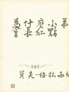 为什么小弟弟上会长红点封面