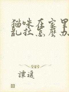 猫咪在家里乱尿乱拉怎么办