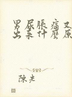 男尿胀痛又拉不出来什么原因