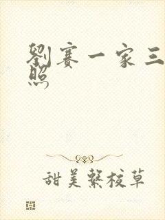 刘赛一家三口近照封面