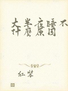 大半夜睡不着是什么原因