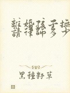 离婚孩子抚养权请律师多少钱