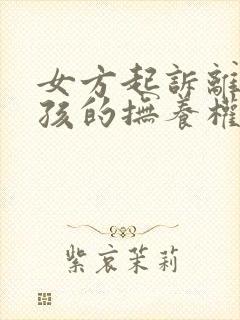 女方起诉离婚小孩的抚养权怎么判