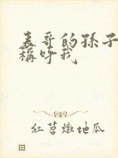 表哥的孙子怎么称呼我