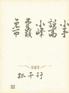 免费小说小说都市巅峰高手全本阅读