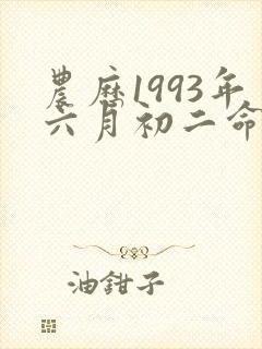 农历1993年六月初二命运