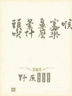 头晕鼻塞喉咙痛吃什么药