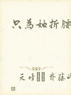 只为她折腰封面