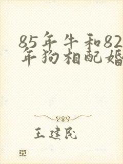 85年牛和82年狗相配婚姻如何