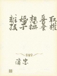 离婚想争取两个孩子抚养权