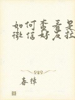 如何查看是否被微信好友拉黑