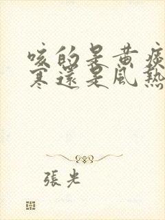 咳的是黄痰是风寒还是风热