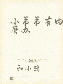 小弟弟有肉粒怎么办