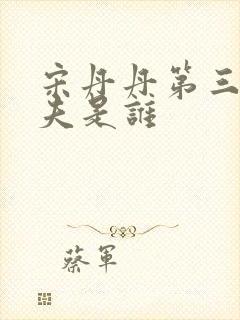 宋丹丹第三任丈夫是谁