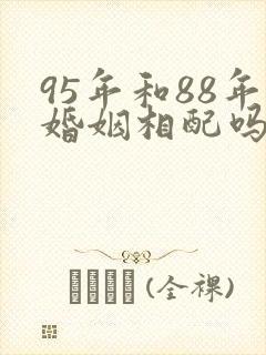 95年和88年婚姻相配吗封面